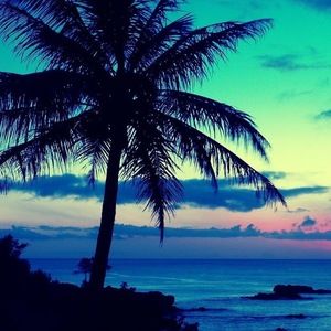 Meet your Posher, Amarachi